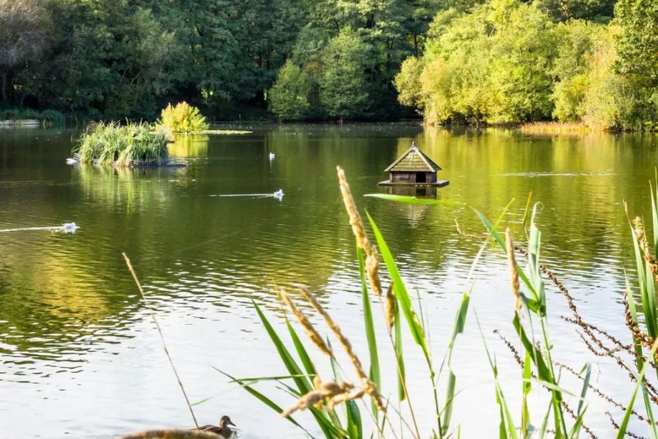 藍莎集團 | 英國置產一站式服務